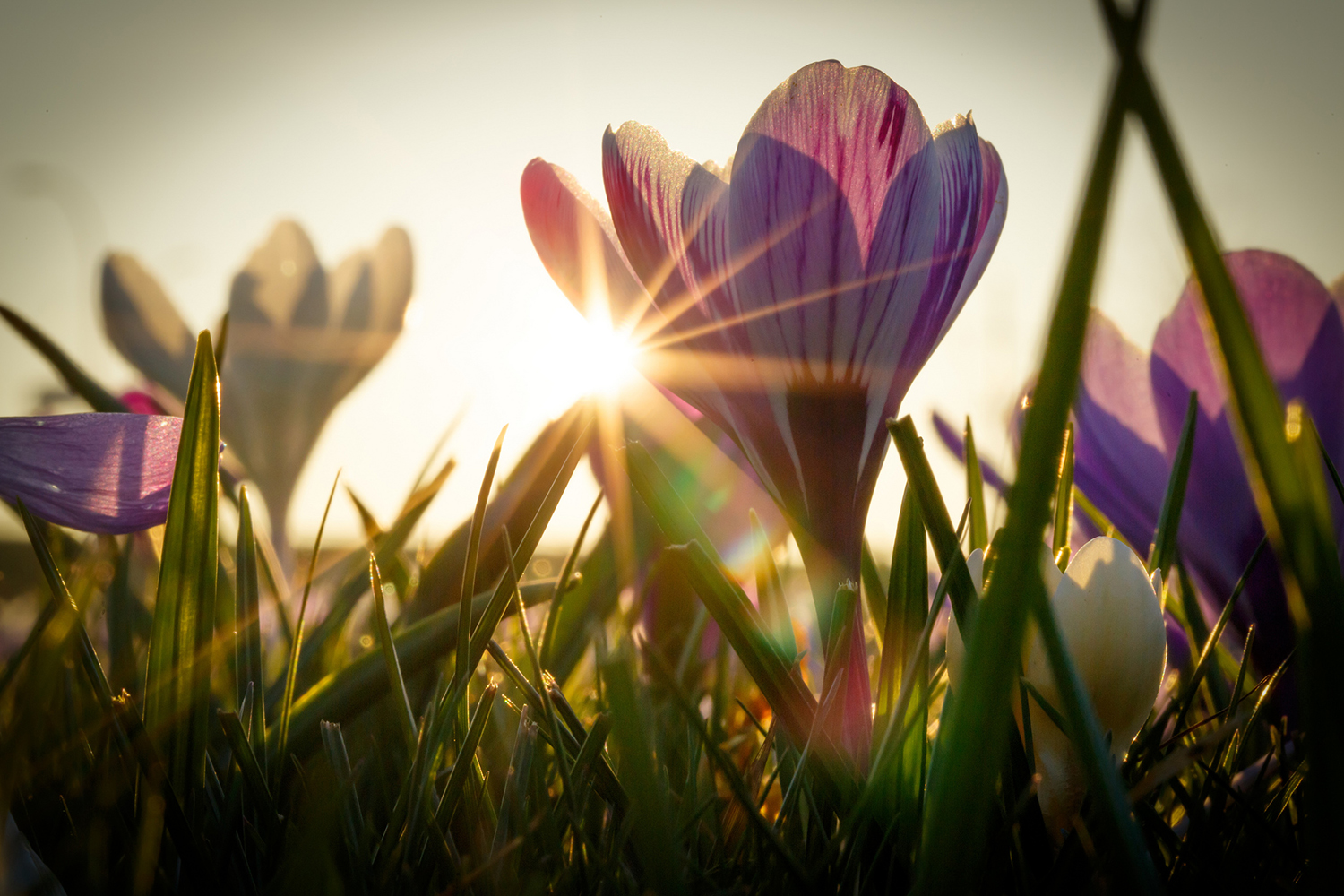 Portrait Photography